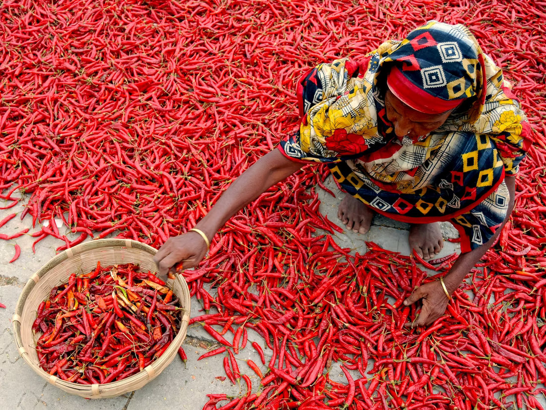 4 things you did not know about Chillies